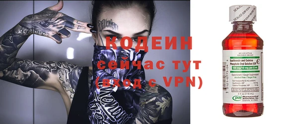 прущие грибы Коряжма