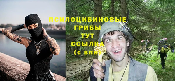 трава Иннополис