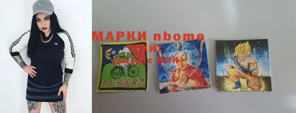 прущие грибы Коряжма