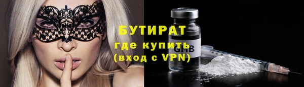 прущие грибы Коряжма