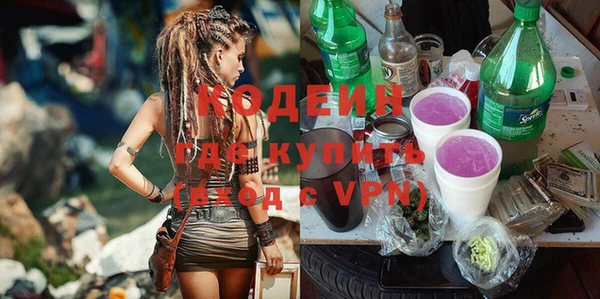 прущие грибы Коряжма
