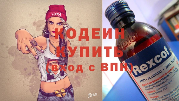 прущие грибы Коряжма