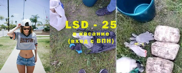 прущие грибы Коряжма