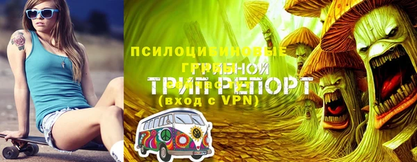 прущие грибы Коряжма