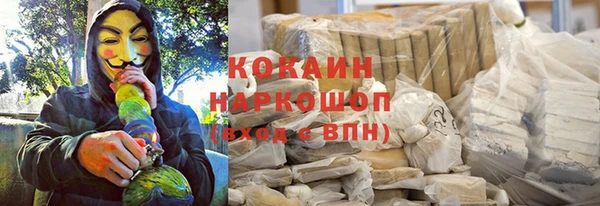 прущие грибы Коряжма