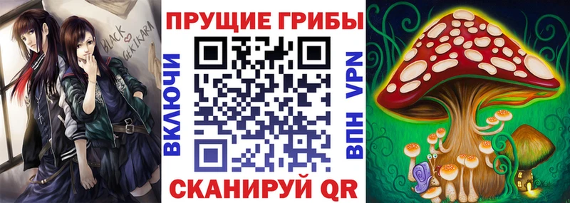 Псилоцибиновые грибы Psilocybine cubensis  мориарти Telegram  Новосокольники 